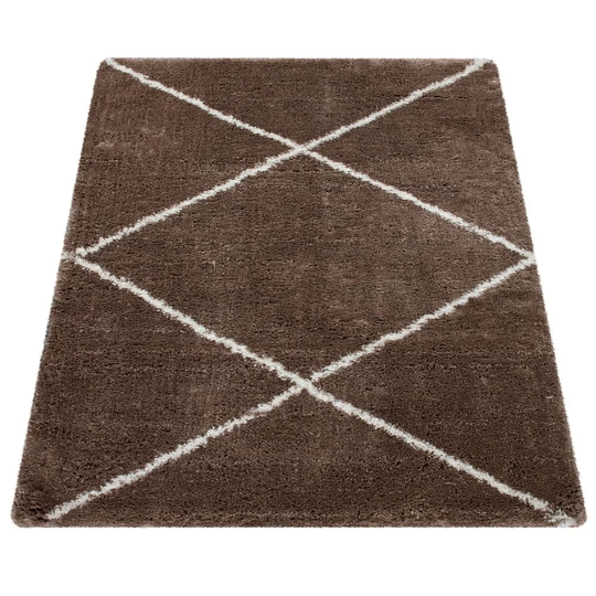 Harutiun Shaggy Beige Rug