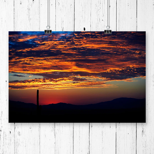 'Landscape Cactus Sunset' Graphic Art