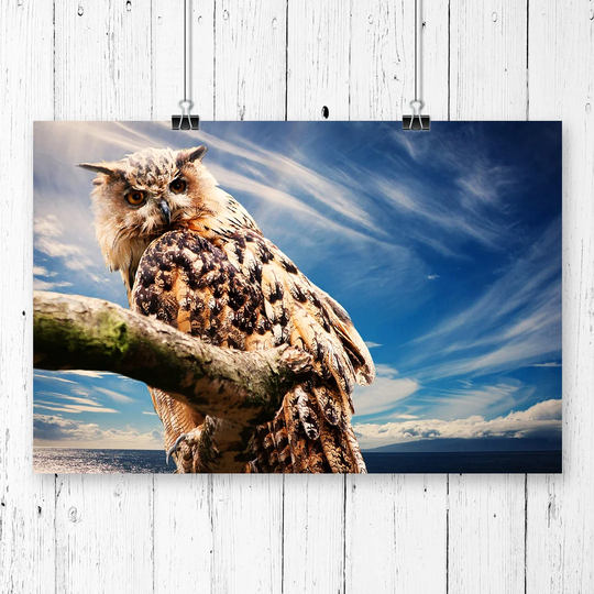 'Owl on a Tree Branch' Graphic Art