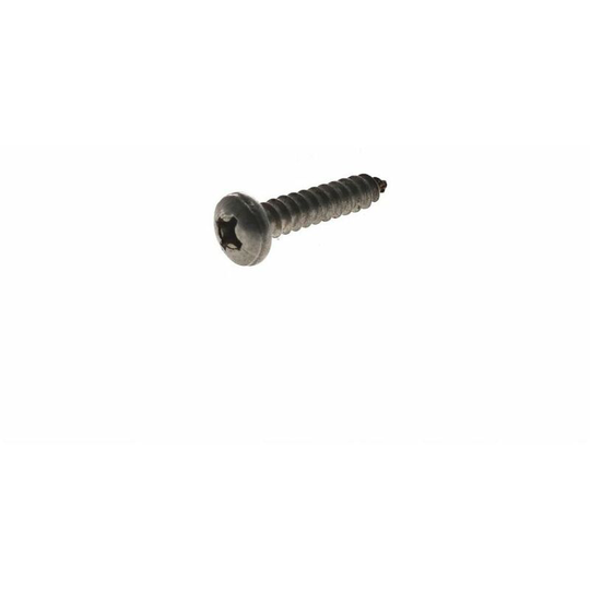 Screw Sst for Hotpoint/Creda/Electra/Export Washing Machines
