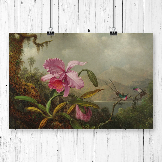 'Pink Flower' by Martin Johnson Heade Graphic Art