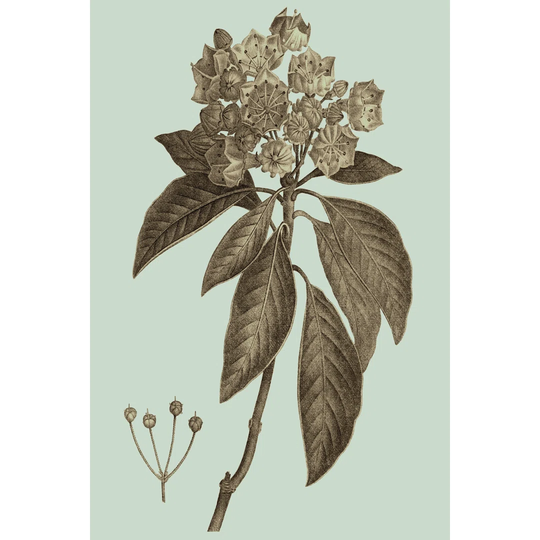 Flowering Trees V by Vision Studio - Wrapped Canvas Graphic Art