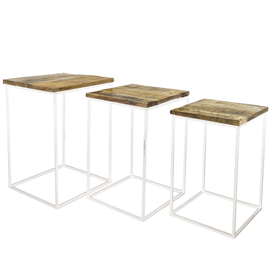Meinard 3 Piece Coffee Table Set