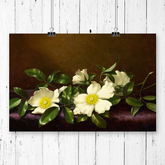 'Cherokee Roses' by Martin Johnson Heade Graphic Art