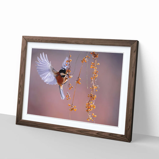 Bird with Spread Wings Framed Photographic Print