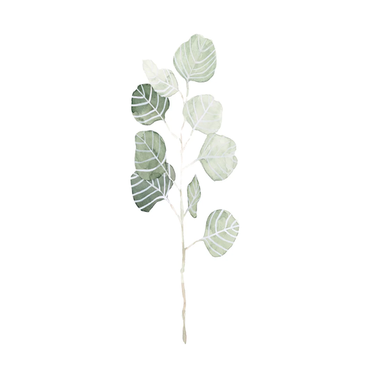 Soft Eucalyptus Branch I by Emma Scarvey - Wrapped Canvas Painting