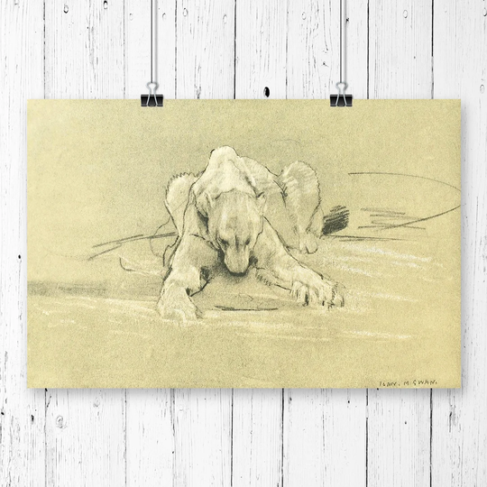 'Vintage John Macallan Swan Polar bear' Graphic Art