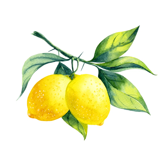 Watercolor Lemon Branch
