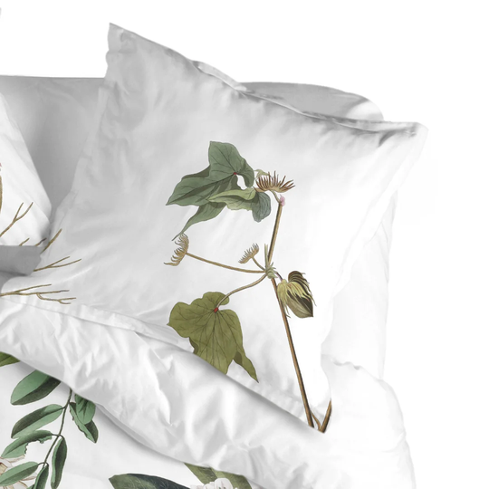 Walston 200 Thread Count Floral 100% Cotton Pillowcase
