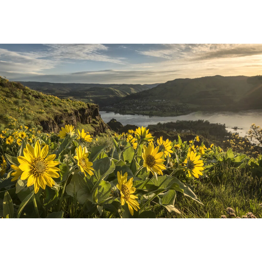 Soaking up the Sun by Danny Head - Wrapped Canvas Photograph