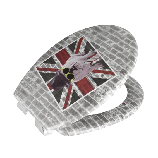 Acropolis Soft Close Elongated Toilet Seat