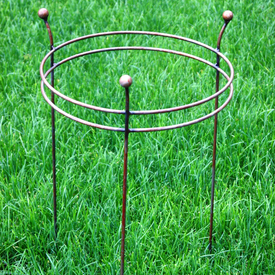 Steel Trellis