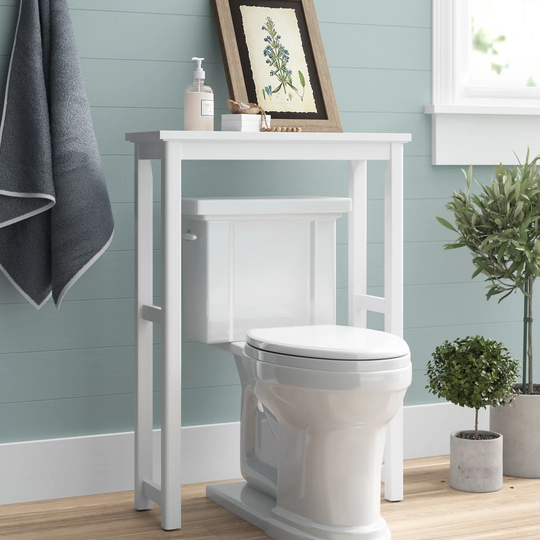 Carruthers 68.58cm x 93.98cm Over the Toilet Shelf