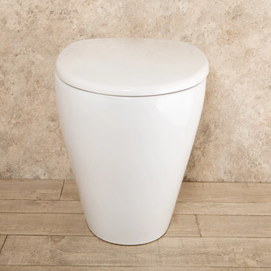 Bernyce Wall Hung Toilets with Soft Close Seat