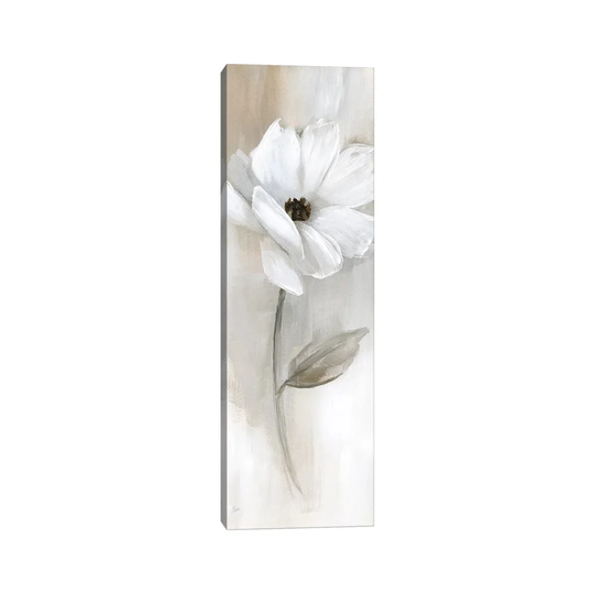 Sheer Elegance I by Nan - Panoramic Painting Print on Canvas