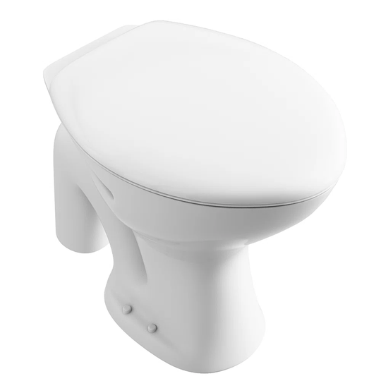 Rankins Low Level Toilet with Flush