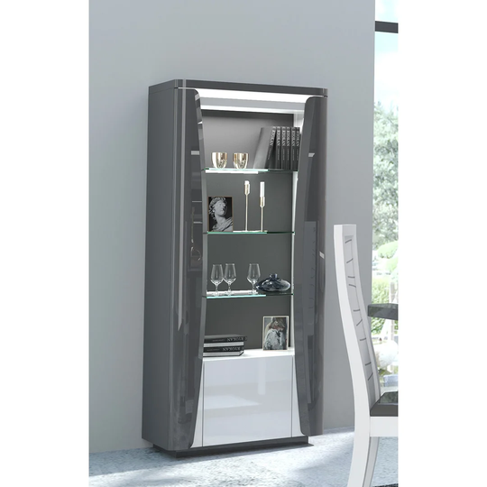 Vannatter Standard Display Cabinet with Lighting