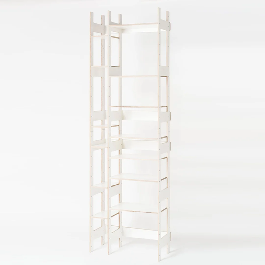 Lift Ladder Bookcase