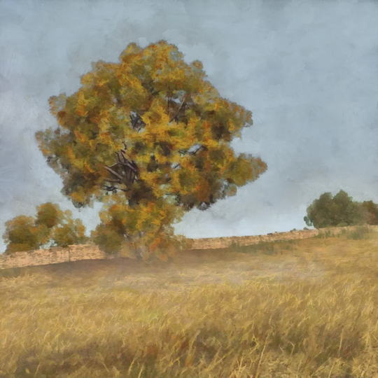 Autumn's Tranquility II by Alonzo Saunders - Wrapped Canvas Painting