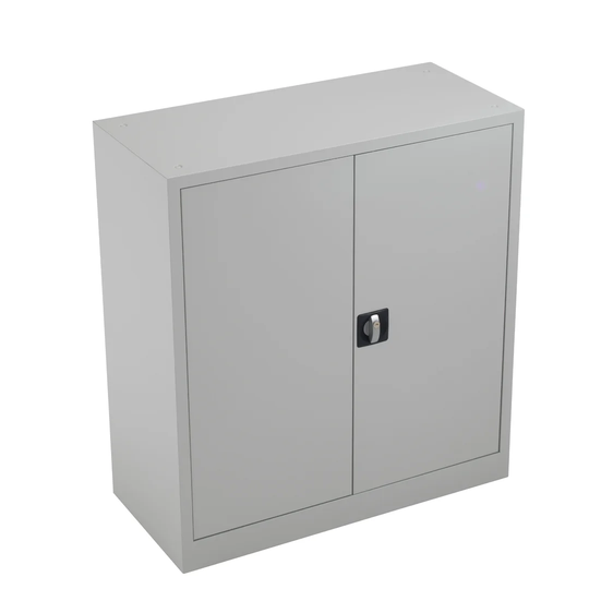 Office 2 Door Storage Cabinet