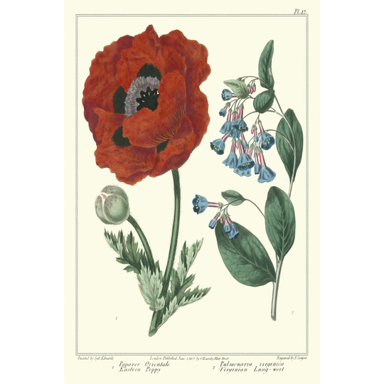 Gardeners Delight I