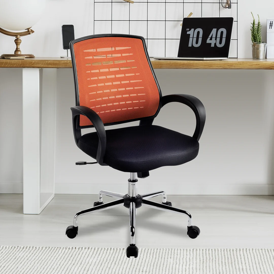 Carousel Desk Chair