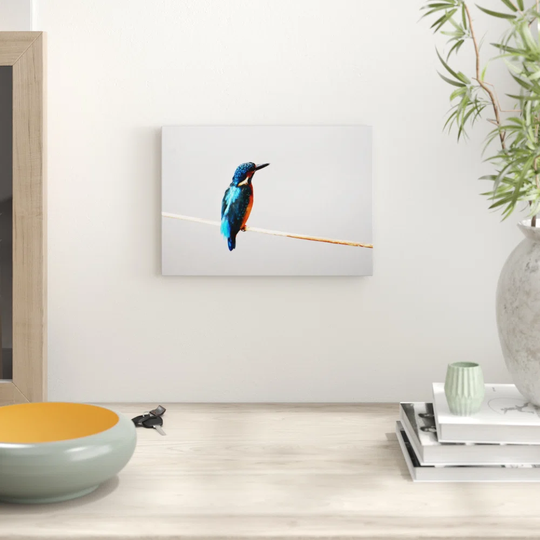 'Kingfisher' Photographic Print