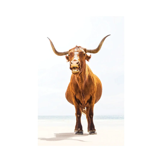 Beach Bull by Andrew Lever - Floater Frame Graphic Art on Canvas