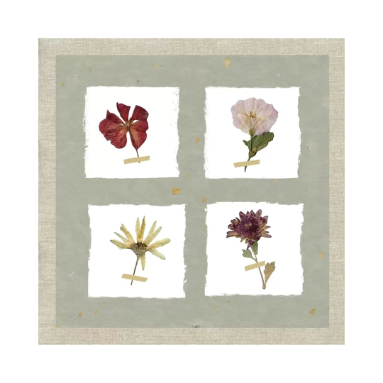 Pressed Blooms I by Carol Robinson - Wrapped Canvas Graphic Art