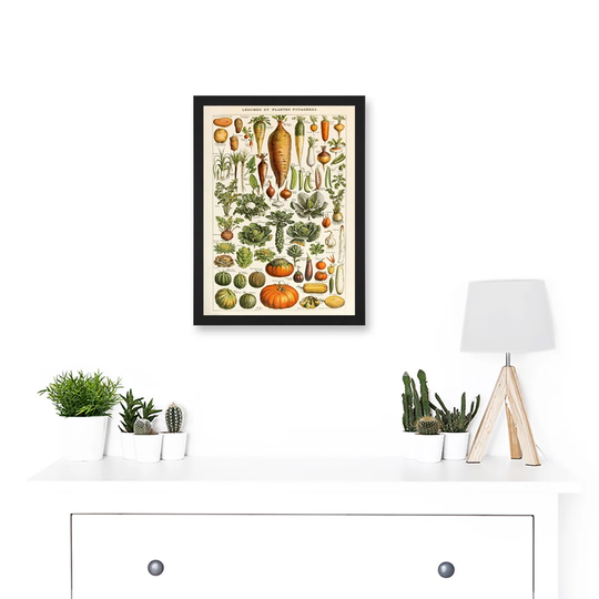Millot Encyclopedia Vintage Vegetables Legumes Nature - Picture Frame Graphic Art on Paper