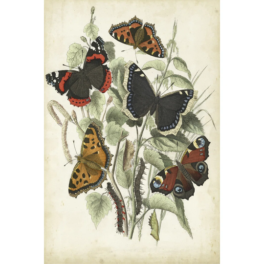 Non-Embellished Butterfly Haven I - Wrapped Canvas Art Prints