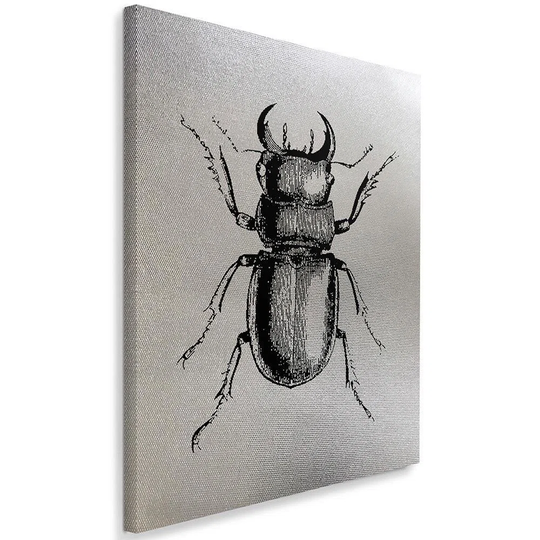 Canvas Print Beetle Insect