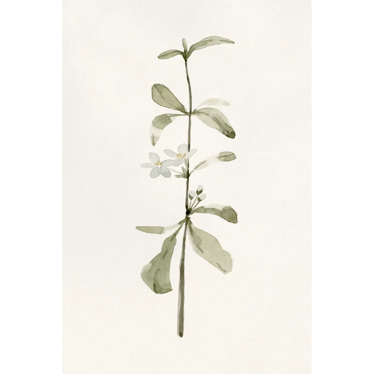 Early Blooms I by Emma Caroline - Wrapped Canvas Painting