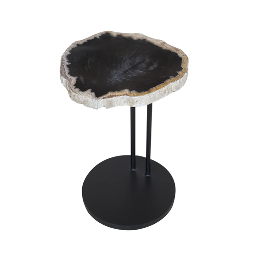 Saffr Walden Petrified Wood Side Table