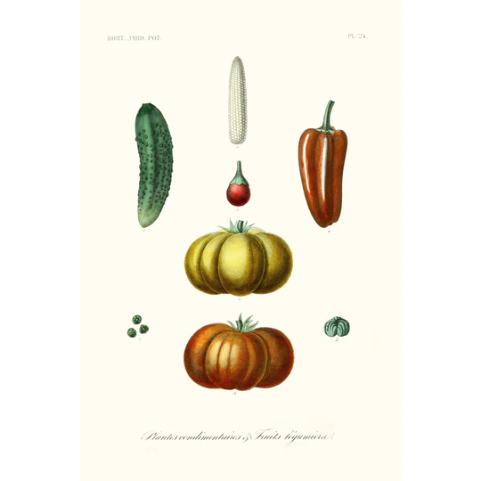 Fruit & Vegetable Varieties III - Unframed Painting
