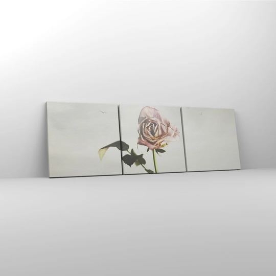Rose Birds Sky - 3 Piece Wrapped Canvas Panoramic Photograph