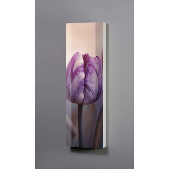 Tulip 8 Pair Shoe Storage Cabinet