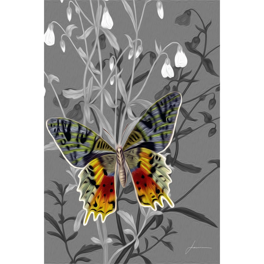 On Display IV - Wrapped Canvas Art Prints