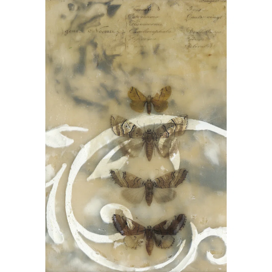 Nocturnes I by Jennifer Goldberger - Wrapped Canvas Art Prints