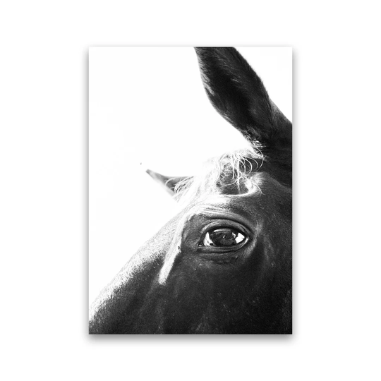 Eye of the Beholder by Victoria Frost - Photograph Print
