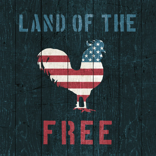 American Farm Rooster Red White and Blue by Michael Mullan - Wrapped Canvas Typography Print