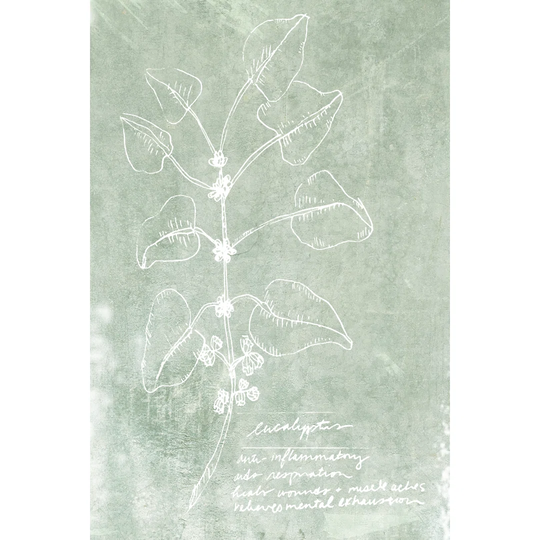 Essential Botanicals I