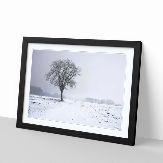 'Landscape Snow and Tree' Framed Photographic Print