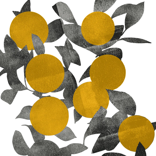 Shadow Branch I by Emma Scarvey - Wrapped Canvas Graphic Art