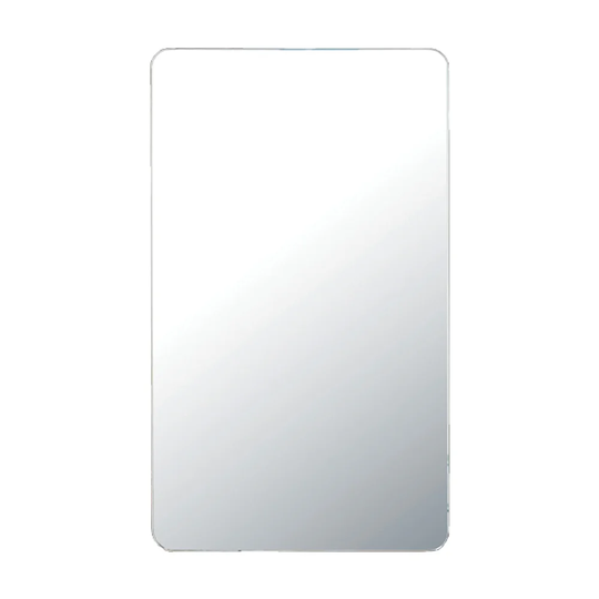 Damionna 50cm x 85cm Mirror Cabinet