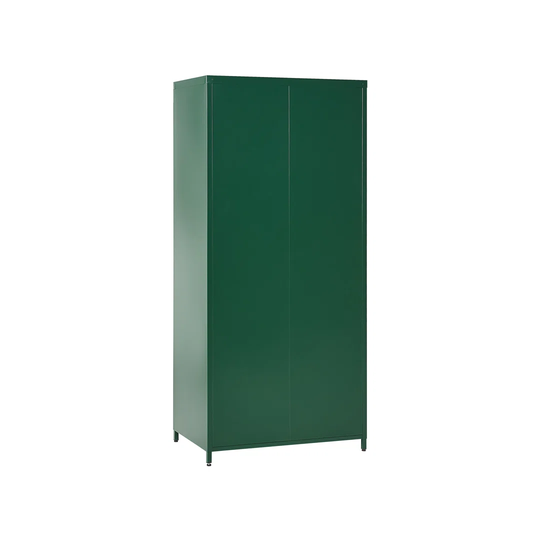 Flavius 2 Door Storage Cabinet