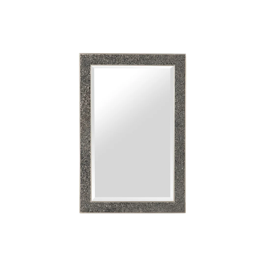Brashear Resin Framed Wall Mounted Accent Mirror in Silver