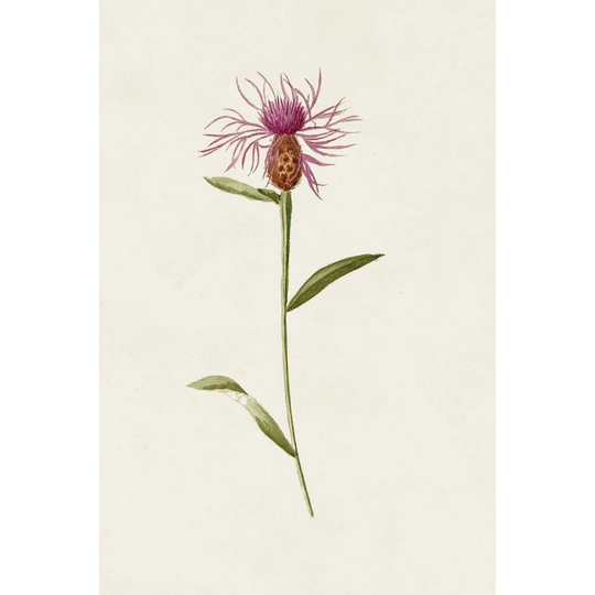 Mauve Garden Flowers VI - Wrapped Canvas Painting