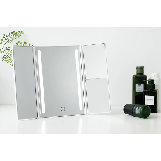Ankney Magnifying Bathroom Mirror