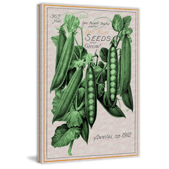 Peas - Wrapped Canvas Advertisement Print